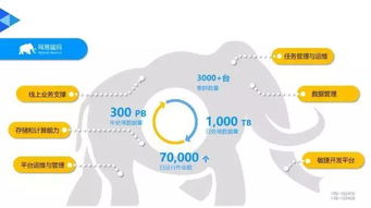 網(wǎng)易猛犸入選工信部2017大數(shù)據(jù)優(yōu)秀產(chǎn)品和應(yīng)用解決方案案例